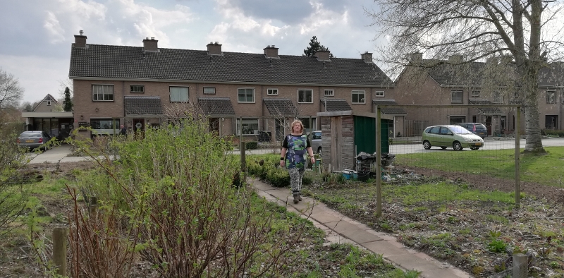 cobyindetuin_30-3-2019.jpg
