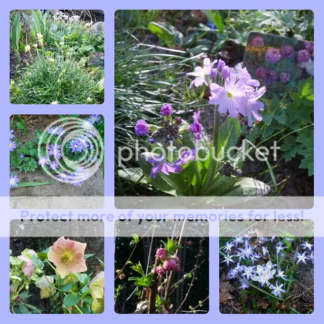 collage_20140320172806353.jpg