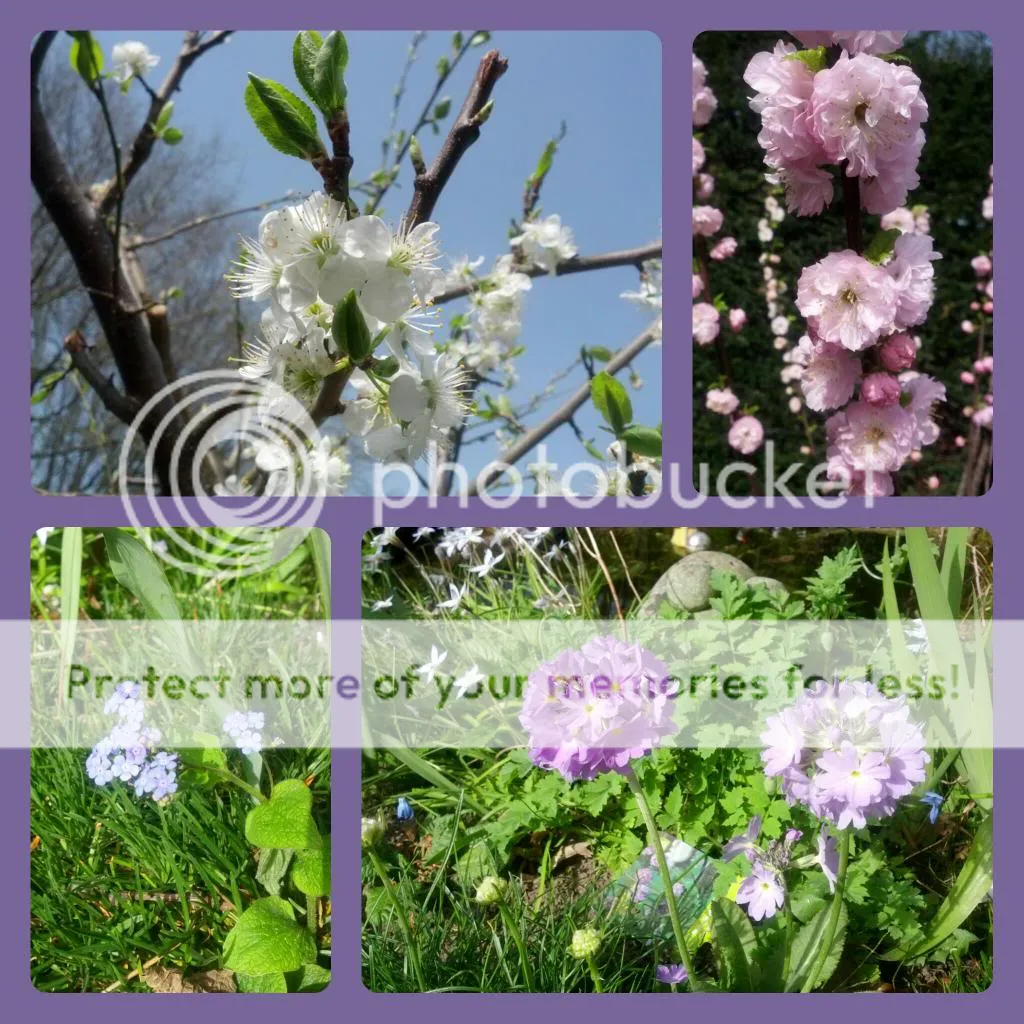 collage_20140330211923396.jpg