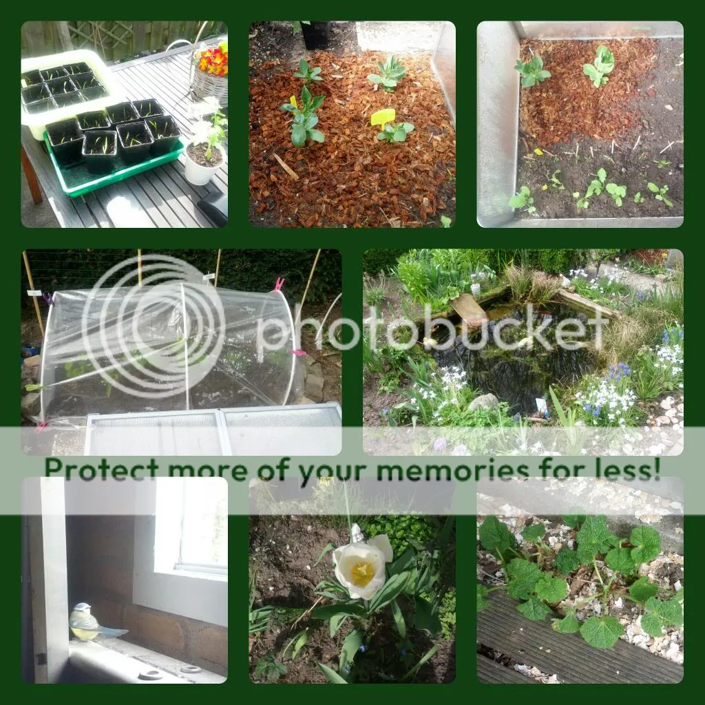 collage_20140330212438645.jpg