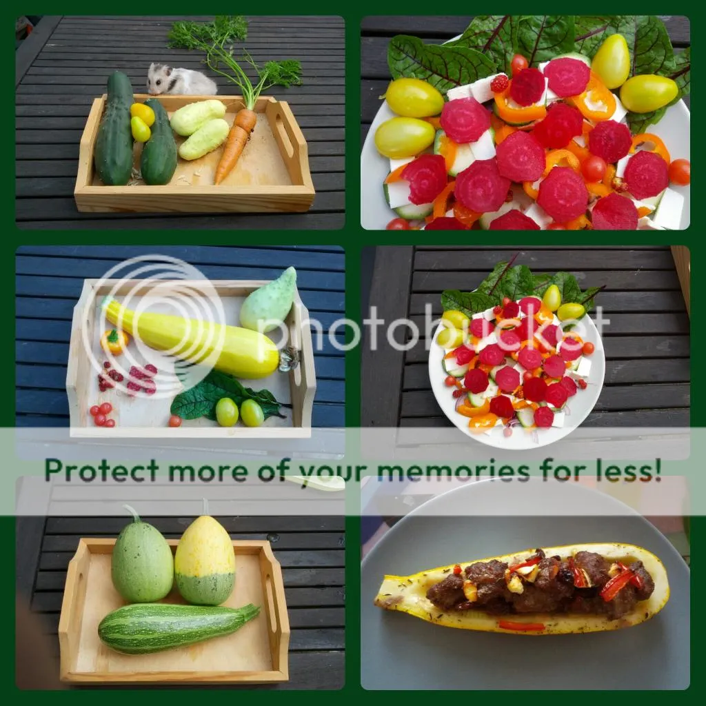 collage_20140809184035972.jpg