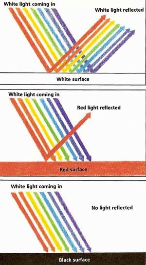color_and_reflection.jpg