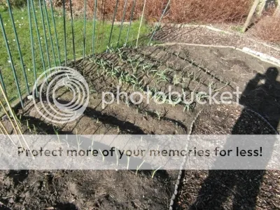 d12b060c-f973-4bd7-832d-f46910c70545.jpg?t=1392211456