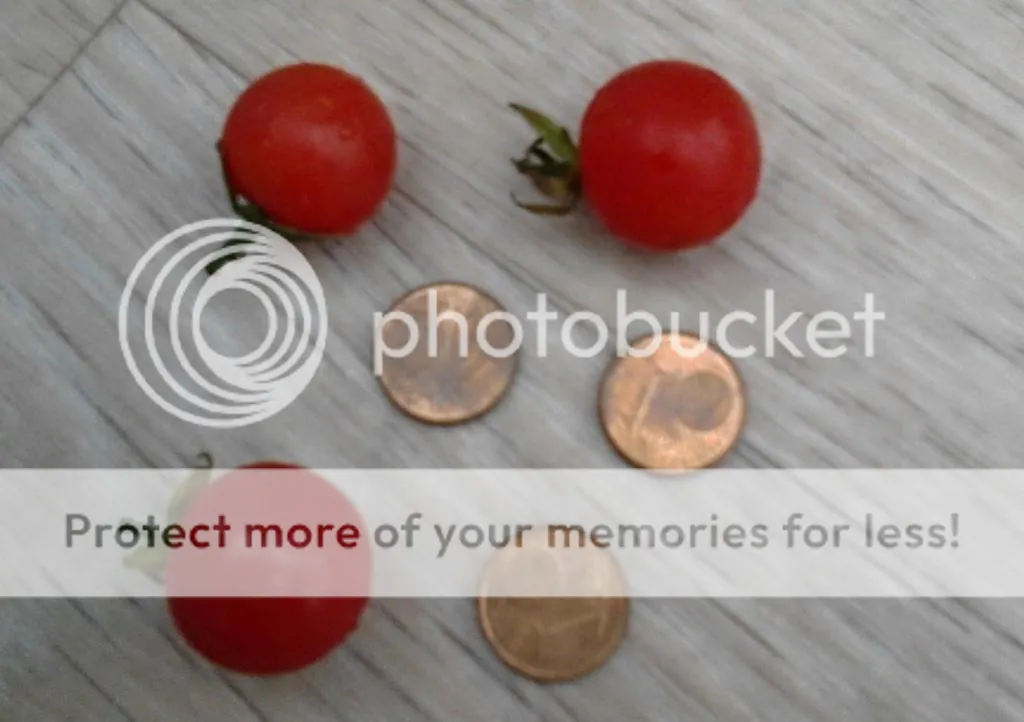 d9227b9d-c8b7-4219-a8b8-dae51945e944_zps81460fbc.jpg?t=1408537146