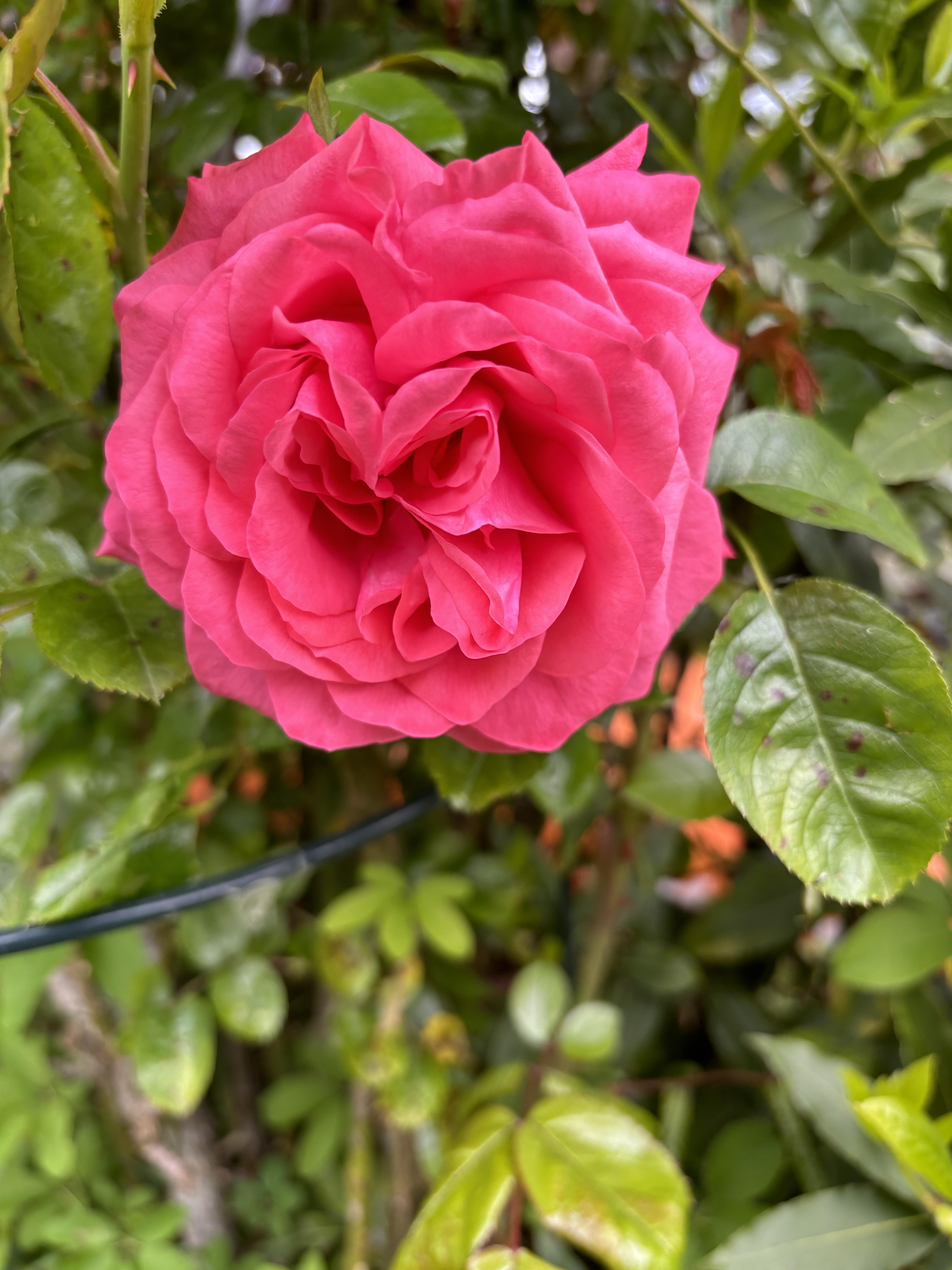 e8837d2b8b40f45f2c56b5f53e54225d.jpg