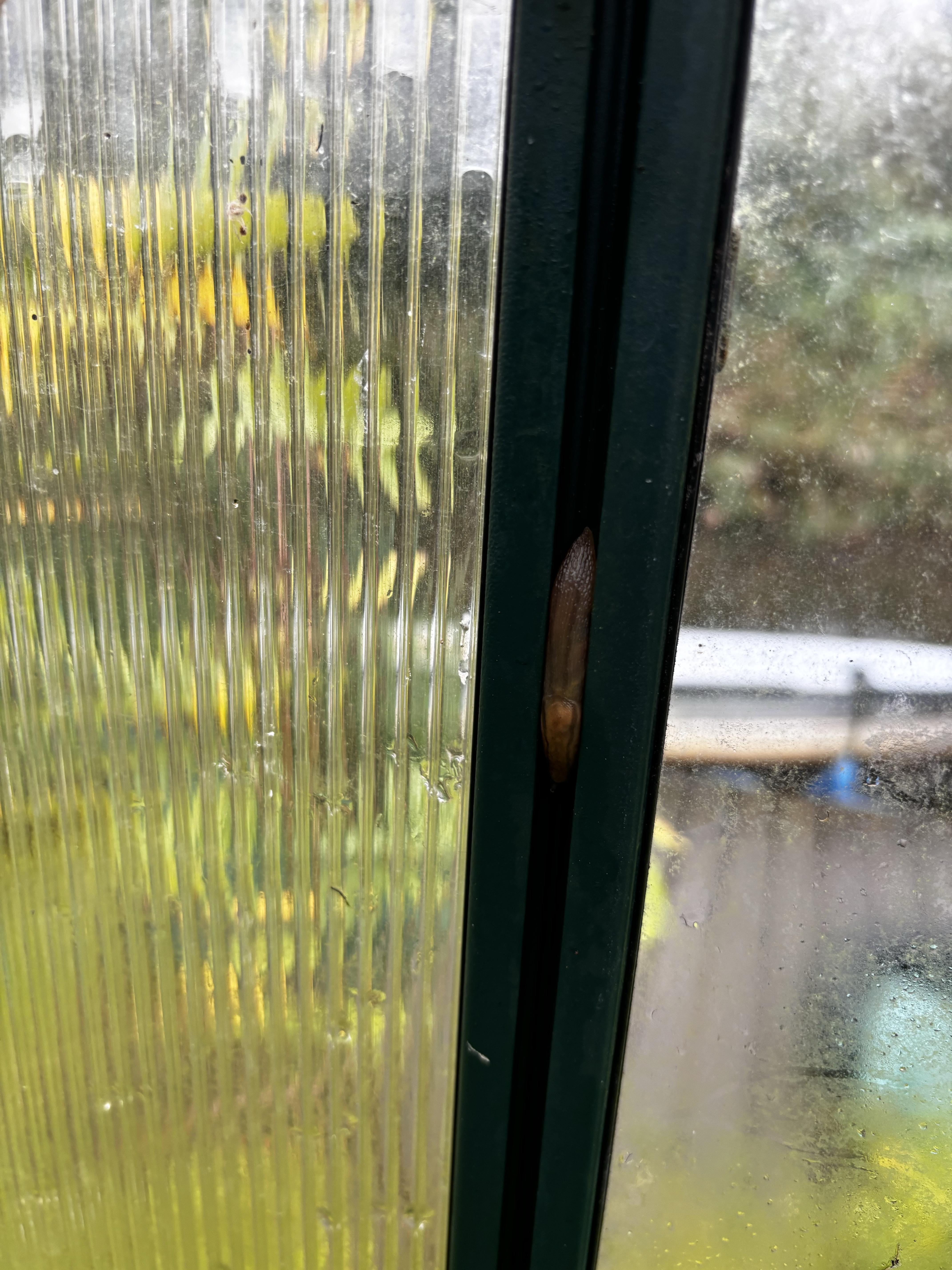 eab43789149ad5f29ec93fda705966c3.jpg