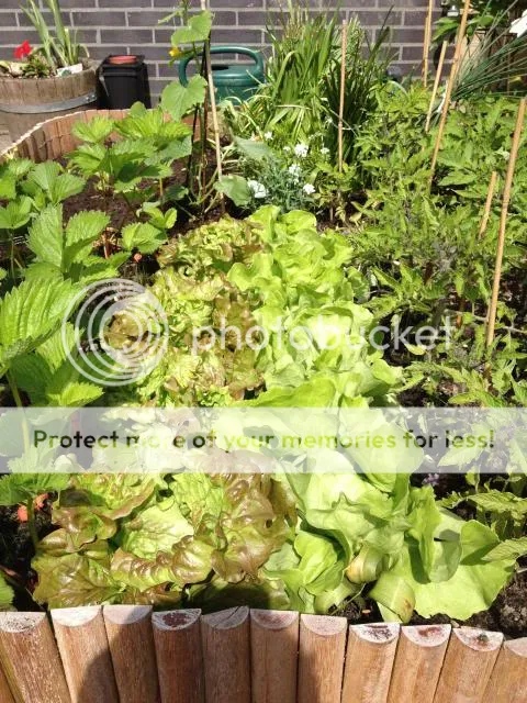 foto17.jpg
