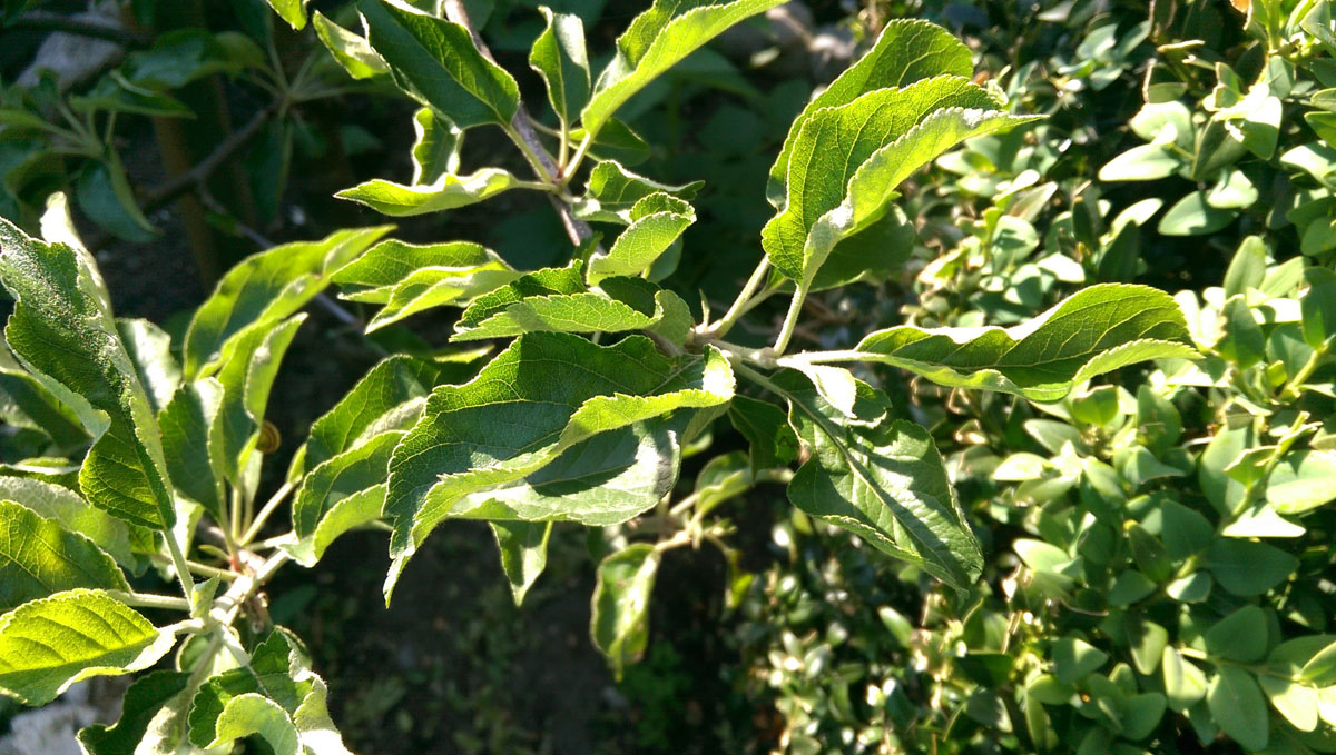iMFYP94.jpg