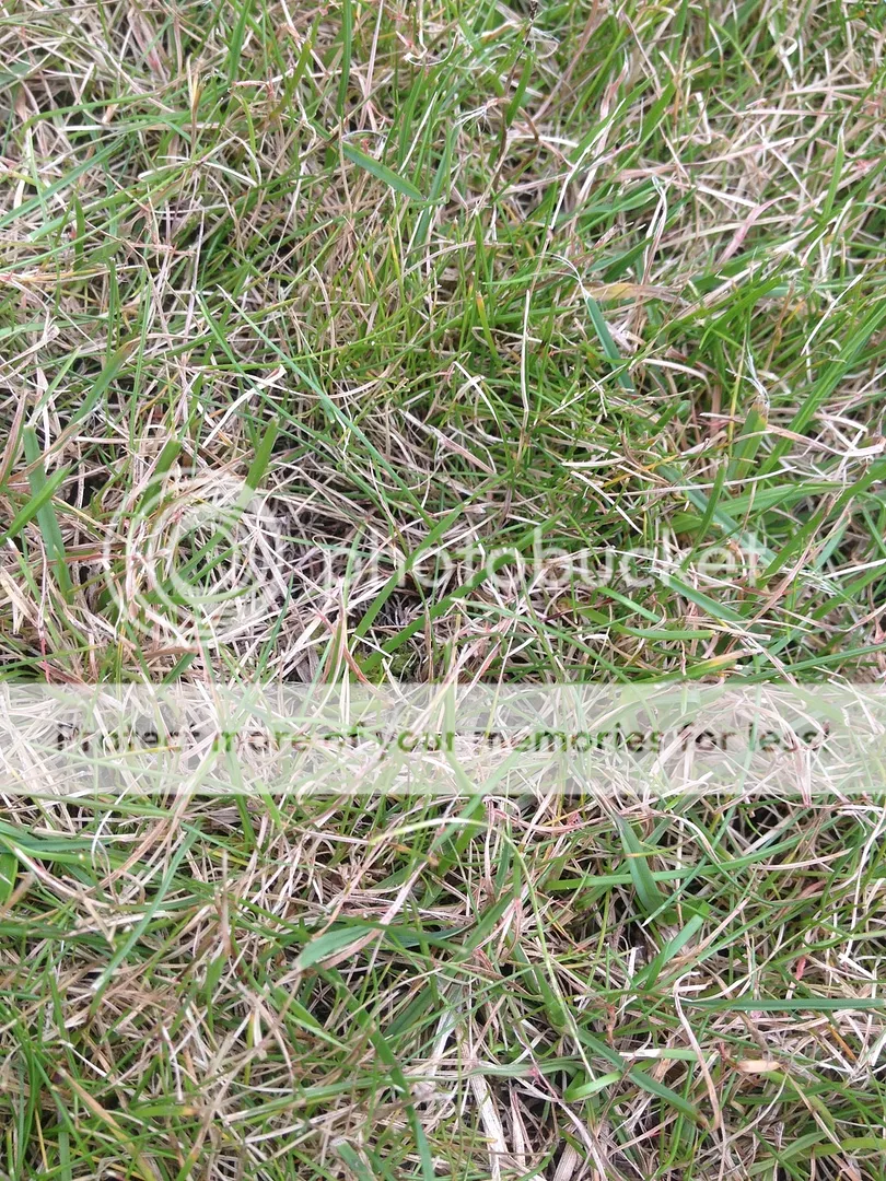 image_zps4qe74ws4.jpg