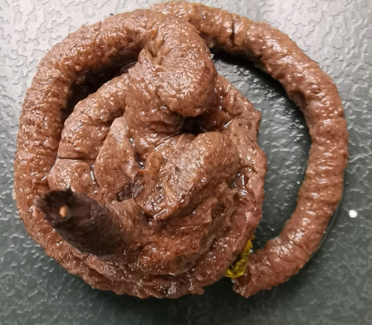 Vroege vogels Forum - Poep