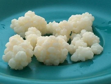kefir8.large.jpg