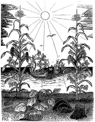 mais-bonen-en-pompoenen-altijd-geweest1.jpg?w=196&h=263