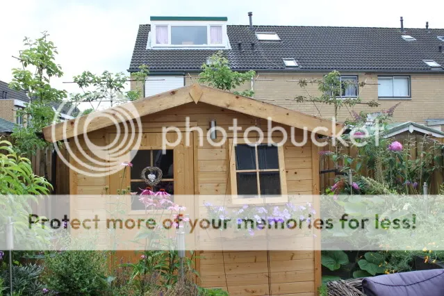 meestrechterboomisziek.jpg?t=1310639447