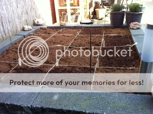 moestuintje.jpg