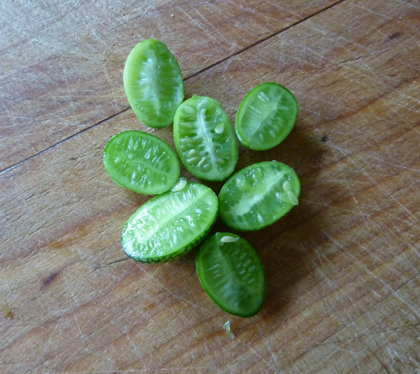 mouse+melon+halves.jpg