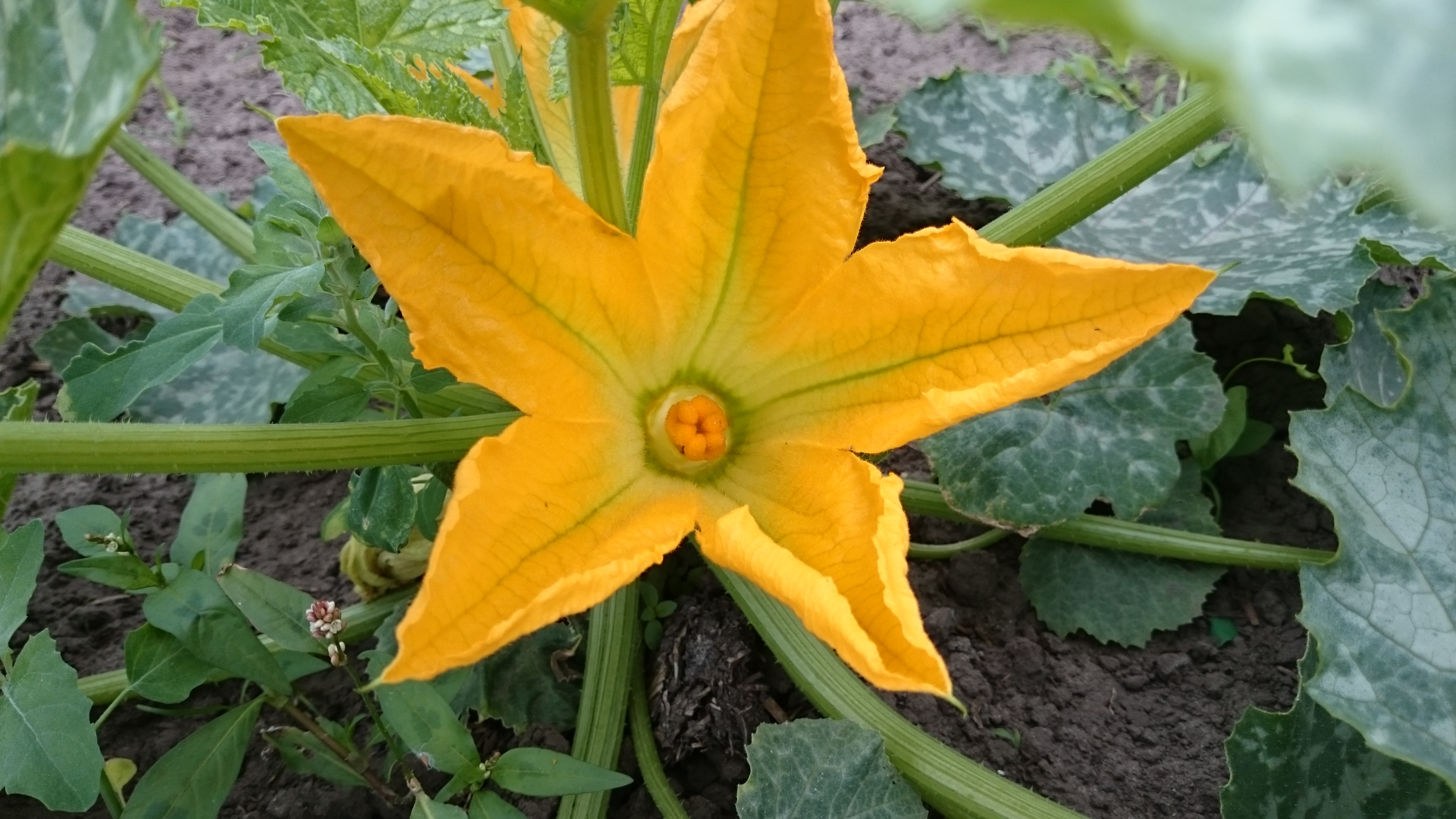 nrb5zPy.jpg