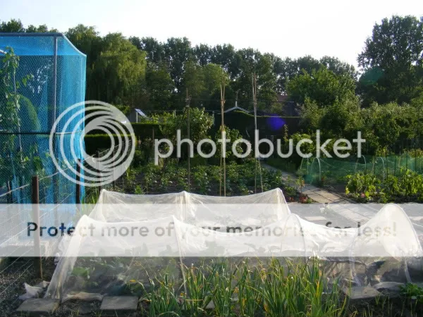 overzicht-links-21-05-2011-droog-1.jpg