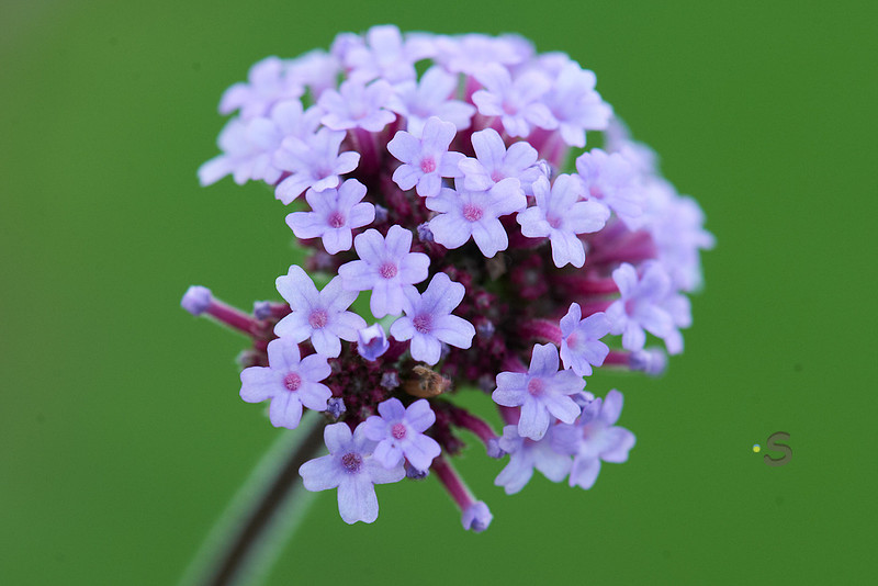 p131491421-4.jpg