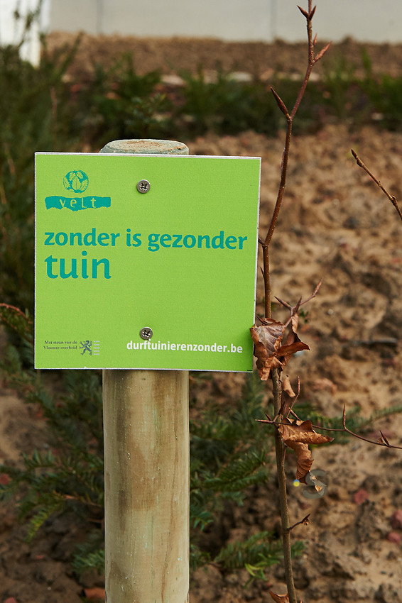 p1357823696-5.jpg