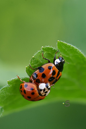 p1559165200-3.jpg