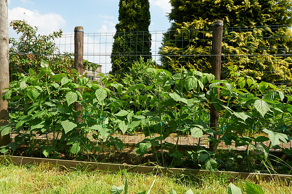 p1818056347-3.jpg