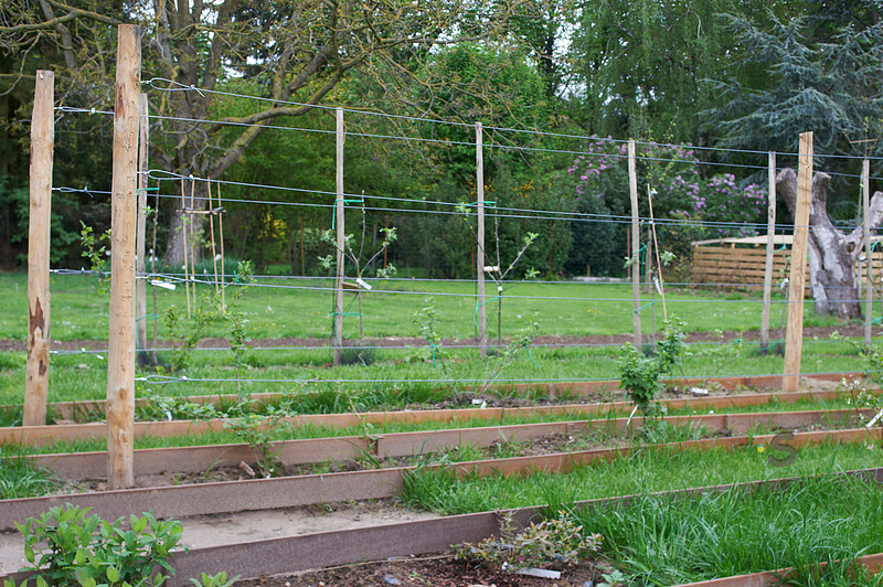 p314635484-4.jpg