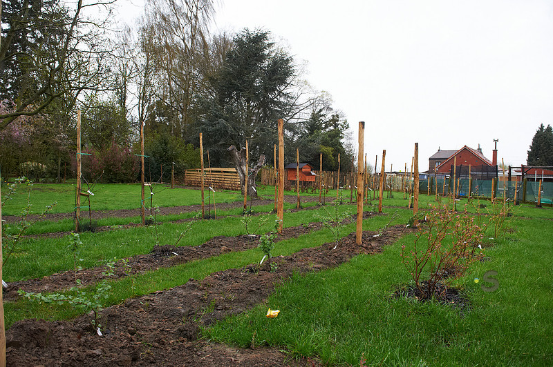 p444459164-4.jpg