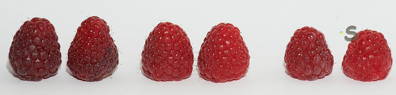 p612337481-4.jpg
