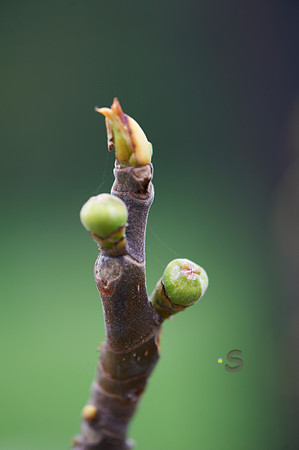p651101800-3.jpg