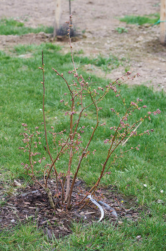 p671293487-5.jpg