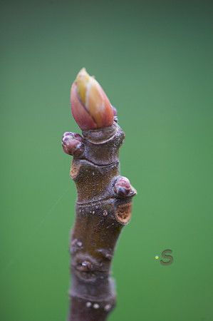 p742756223-3.jpg