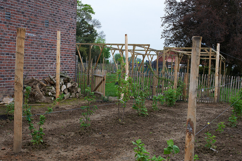 p88579515-4.jpg