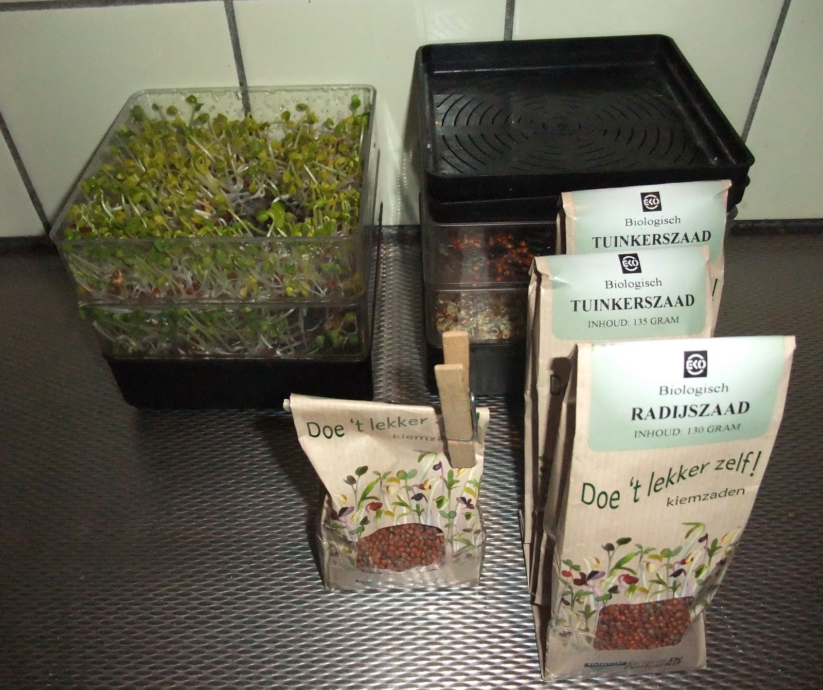 rondom-eten-zelf-kiemzaden-kweken.jpg
