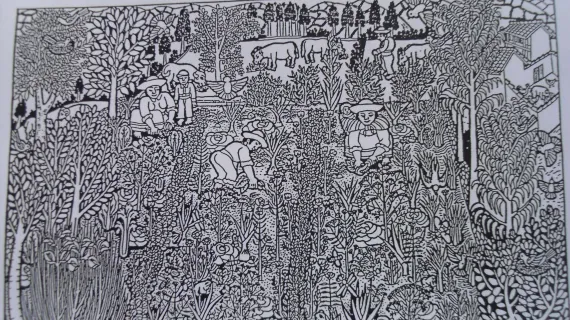 sdc11920.jpg?w=570&h=320