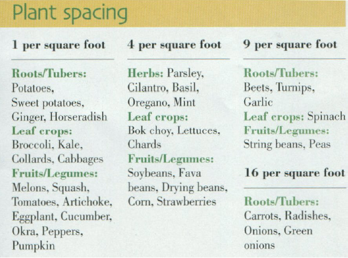 squarefoot-plantspacing.png
