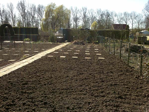 start-moestuin-grond2.jpg