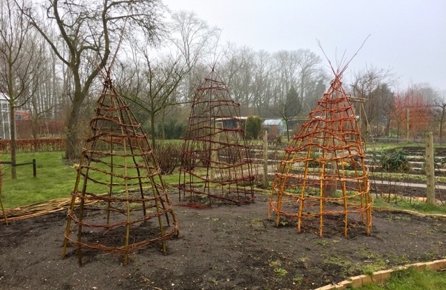 tipis-van-wilgentenen-2016.jpg