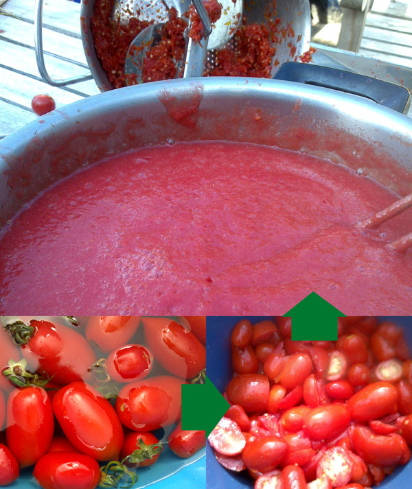 tomaten-puree-maken.jpg