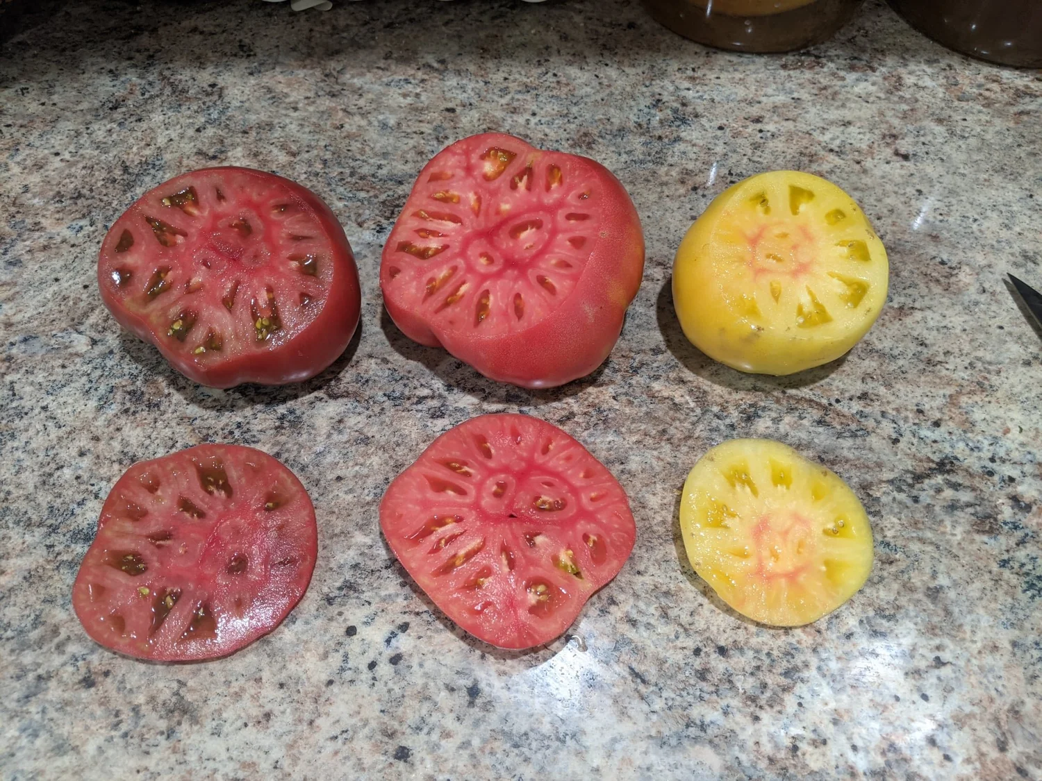 tomato+breeding+success.jpg?format=1500w