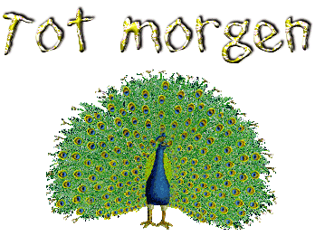 totmorgen18.gif
