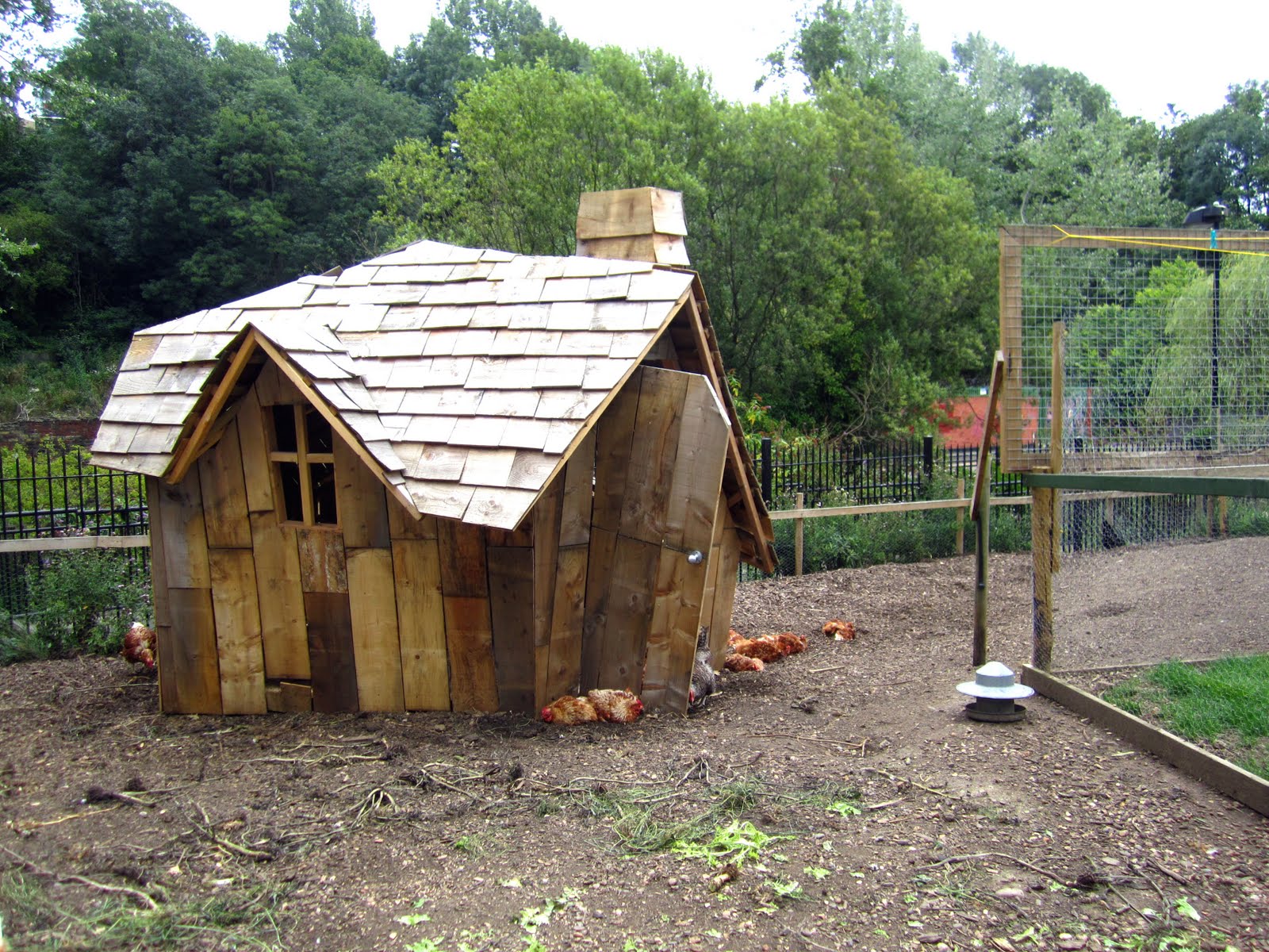 xsite+chicken+coop.jpg