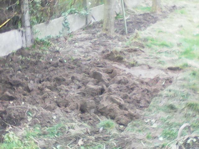-IMG2017022611034247561488111856.jpg