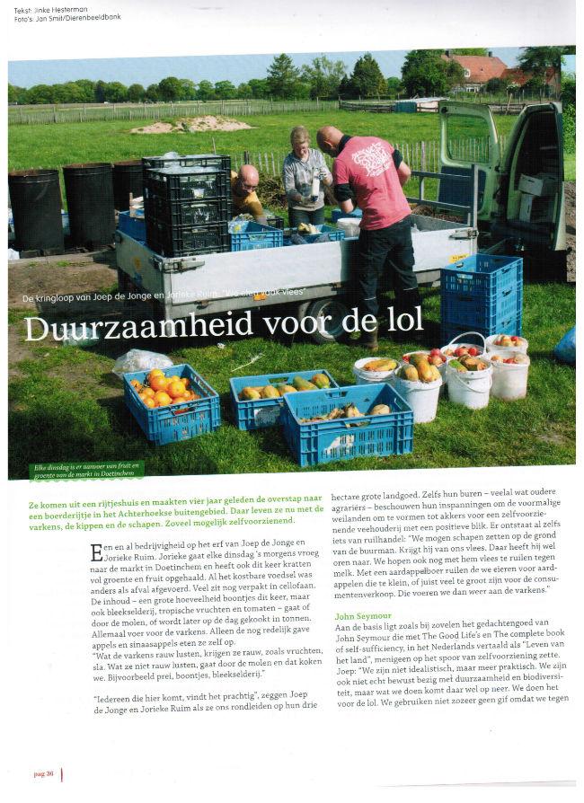 Afbeelding