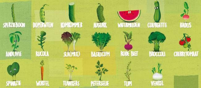 00146428800420-plantjes74024751457154928.jpg
