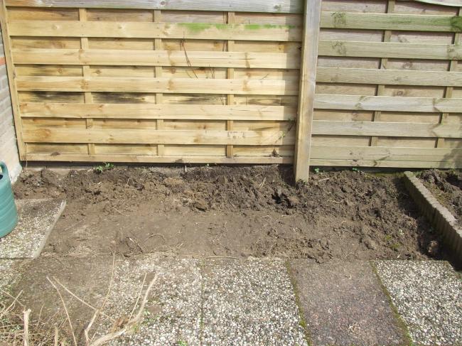 003-de-struik-is-nu-weg92611367312699.JPG