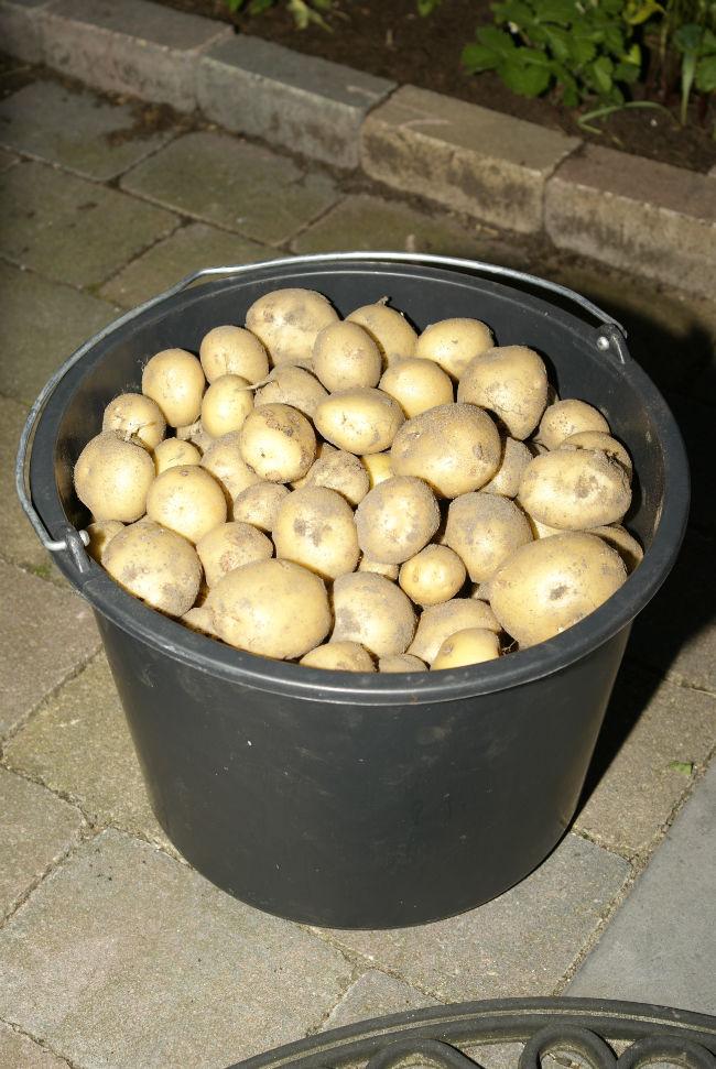01872521403122723.JPG