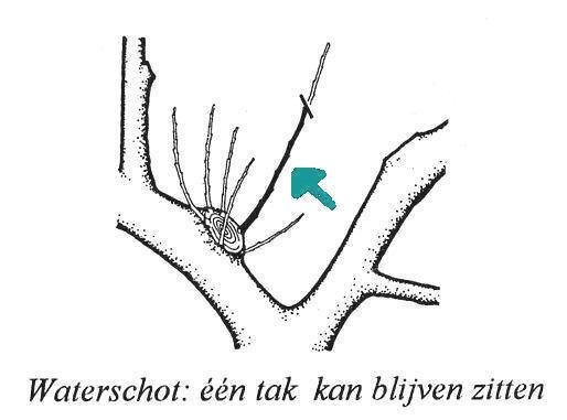 0236361393018319.jpg