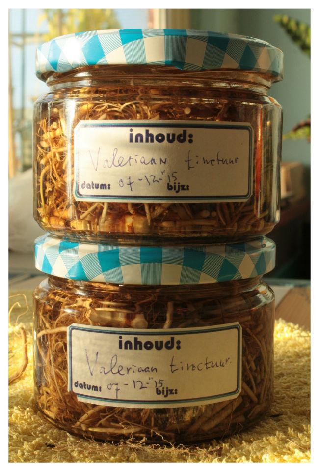08-12-15-l-valeriaantinctuur---kopie22001470124243.JPG