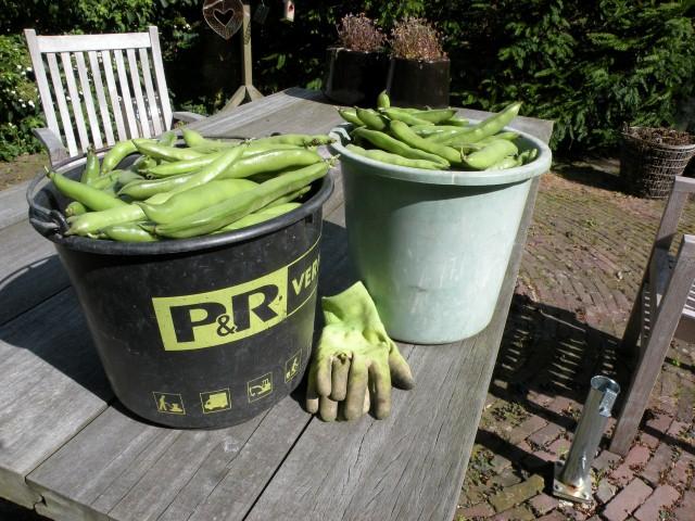 1-juli-2012-001-(small)11351341164690.JPG