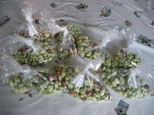 1-juli-2012-009-(small)12031341164694.JPG